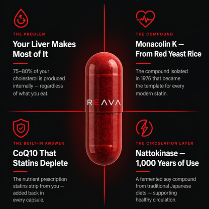 Reava 3-in-1 Heart & Cholesterol Support